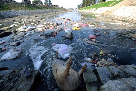 d97da5d8912a3a7c808057cc9c40dee2.jpg d97da5d8912a3a7c808057cc9c40dee2.jpg