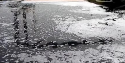 821652b401a3a4725812c24f07d2ca85.jpg 821652b401a3a4725812c24f07d2ca85.jpg