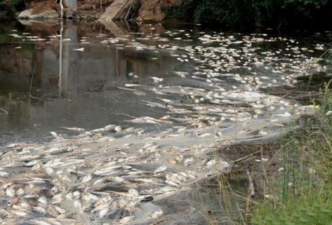 0b32efbb567df5eb795edc46efafef06.jpg 0b32efbb567df5eb795edc46efafef06.jpg